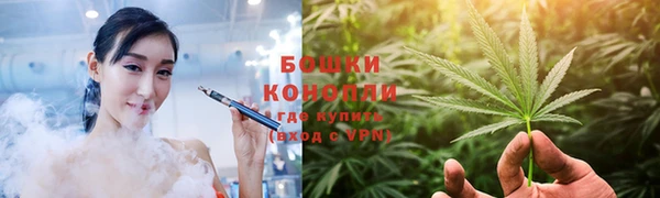сатива Балабаново