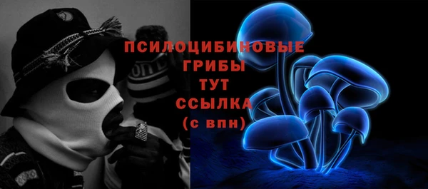 сатива Балабаново