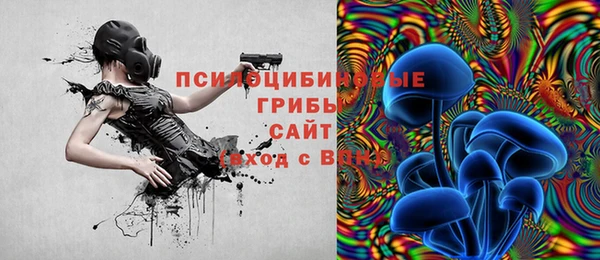 сатива Балабаново