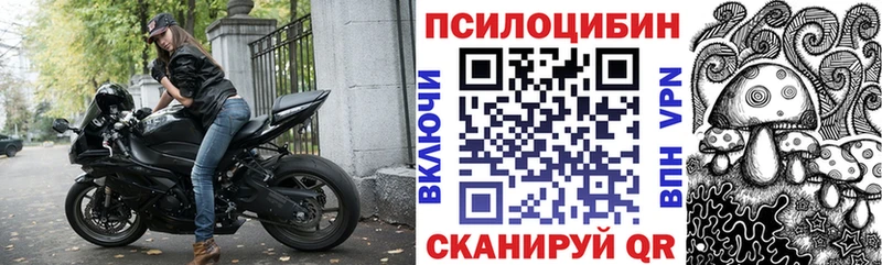 купить наркоту  Спас-Деменск  Псилоцибиновые грибы ЛСД 